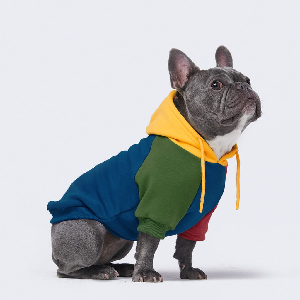 Color block dog hoodie sales