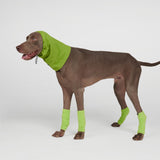 Stretchy Fleece Dog Leg Warmer Sleeves - Lime
