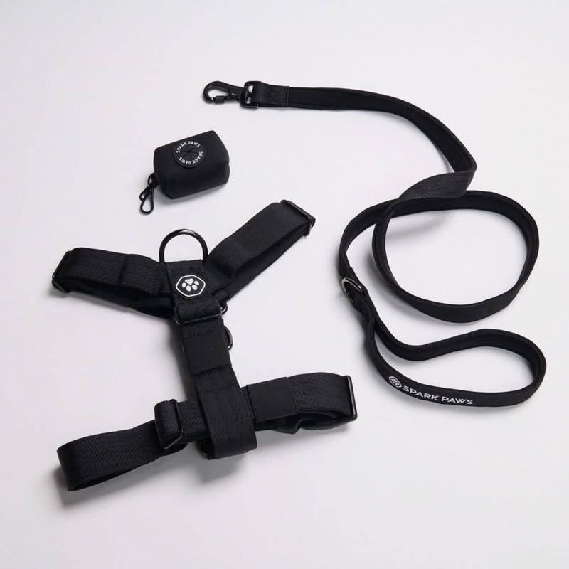 Black Harness