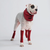 Stretchy Fleece Dog Leg Warmer Sleeves - Red