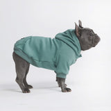 Essential Dog Hoodie - Teal