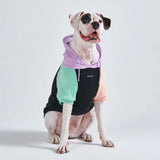 Cyber Punk Dog Hoodie