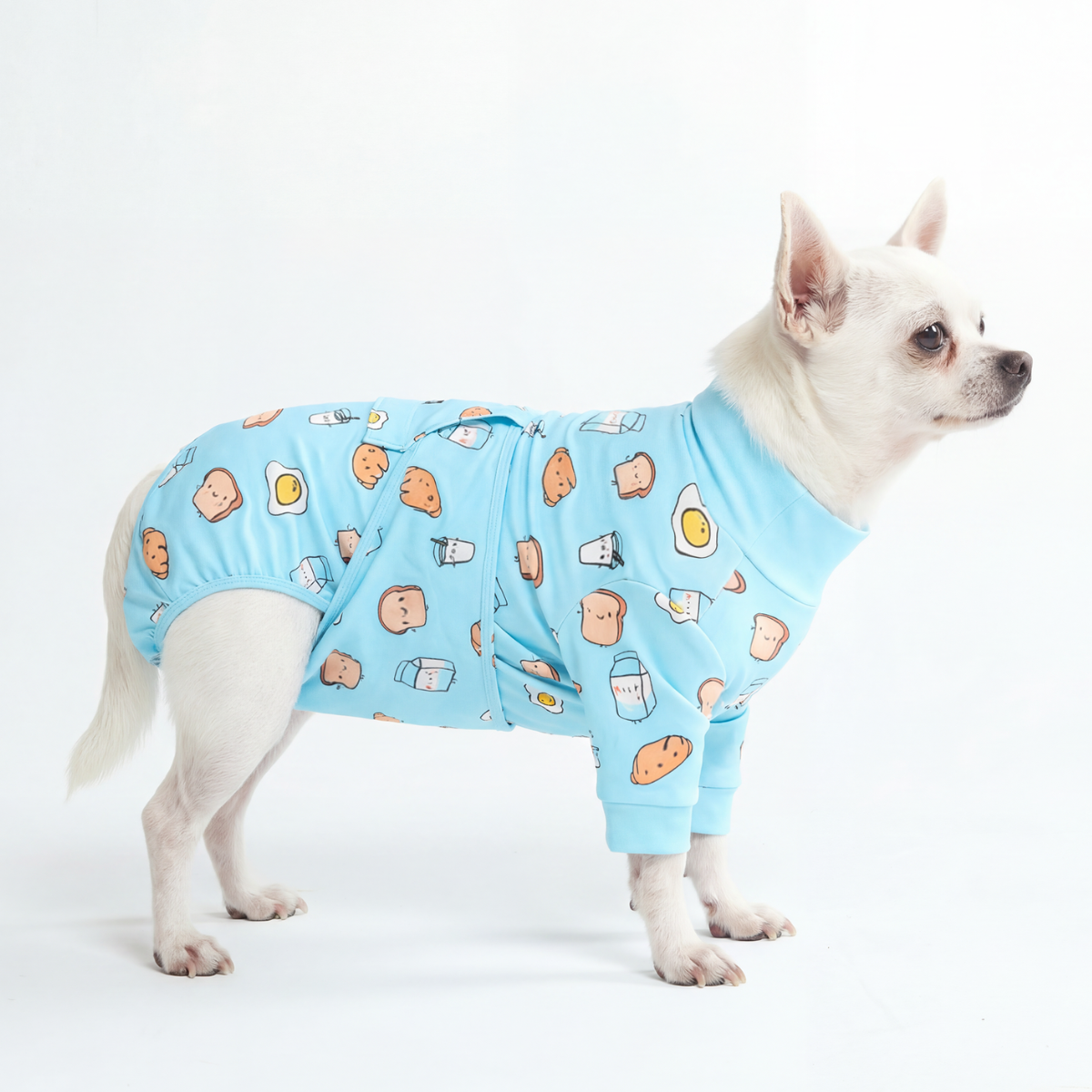 Dog Surgical Suit - Breakfast Blue – SPARK PAWS