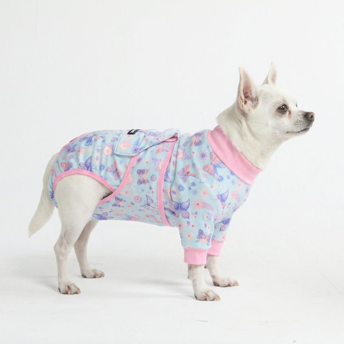 Dog Surgical Suit - Butterfly – SPARK PAWS