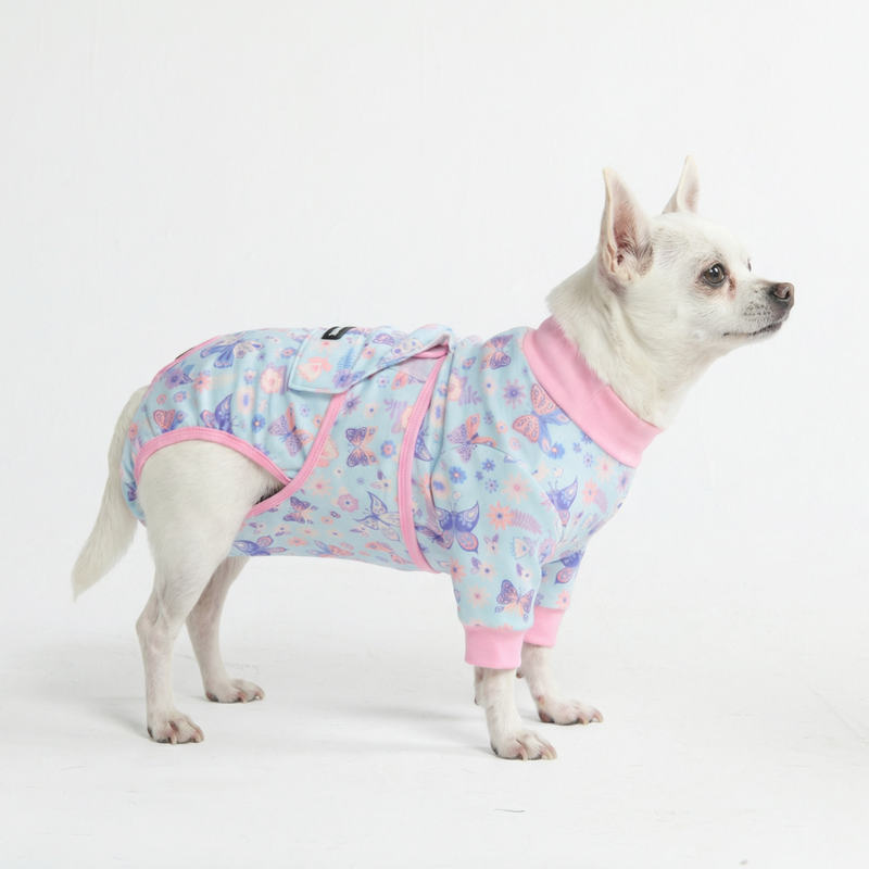 Dog Surgical Suit - Butterfly – SPARK PAWS