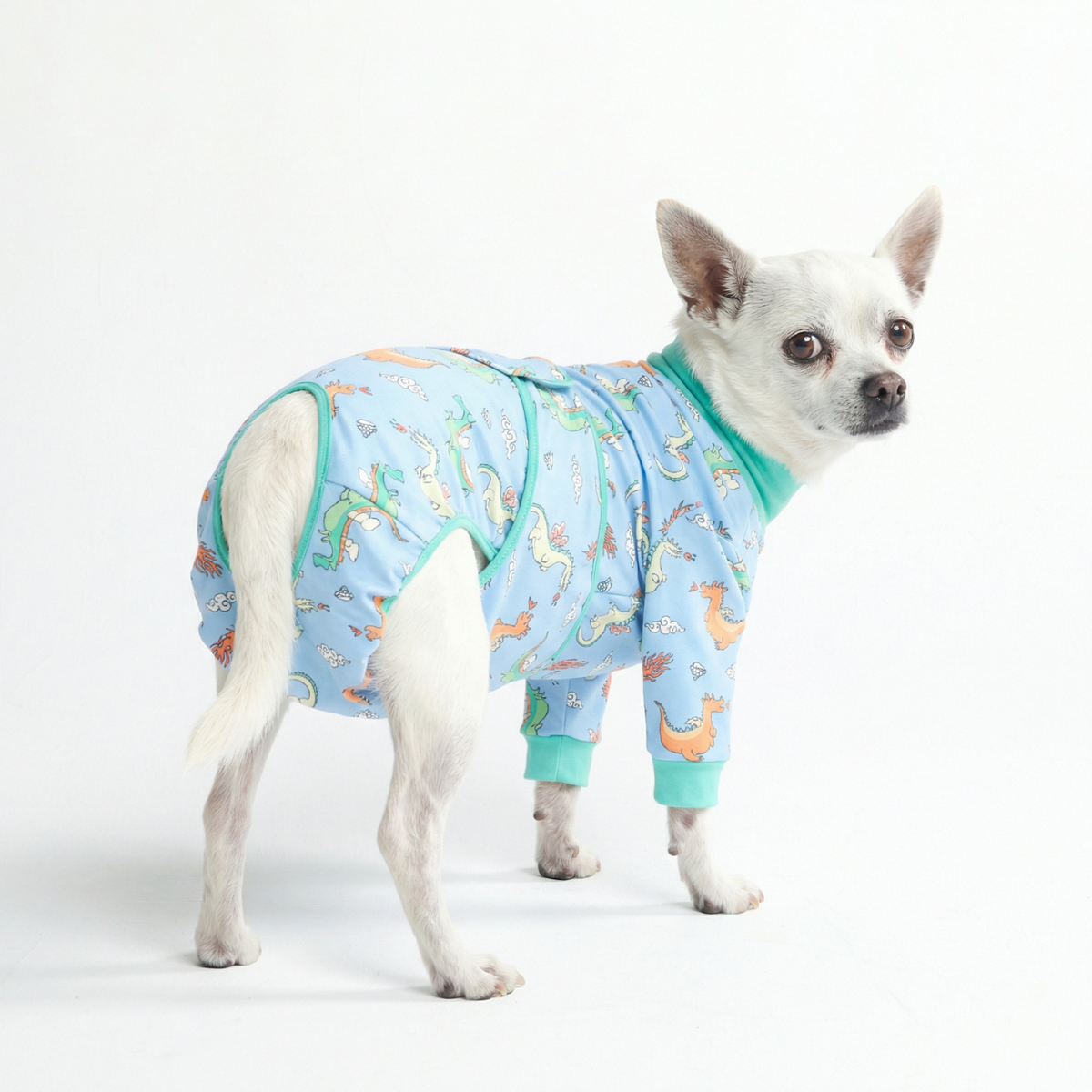 Dog Surgical Suit - Dragons – SPARK PAWS