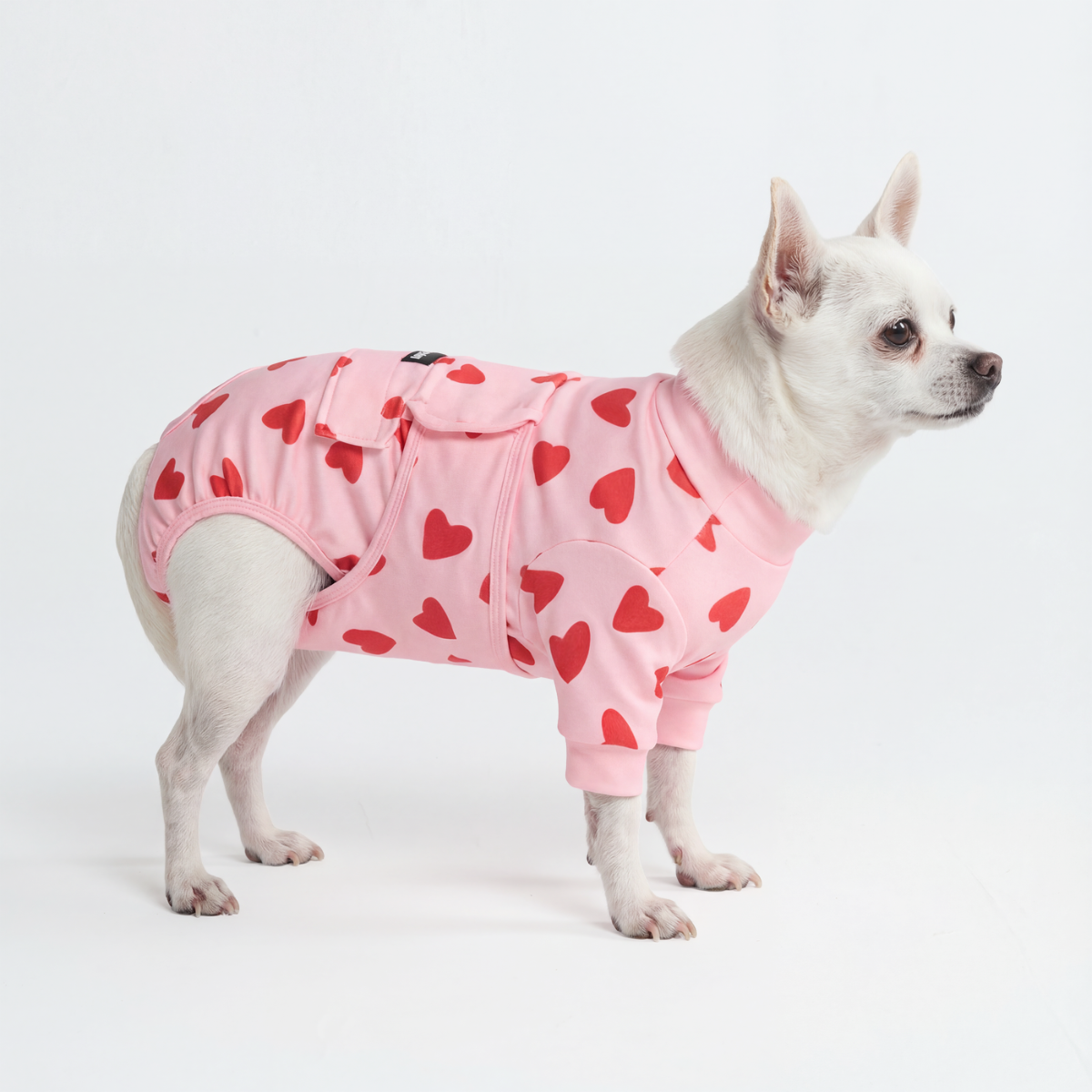 Dog Surgical Suit - Pink Hearts – SPARK PAWS