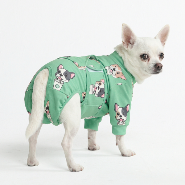Dog Surgical Suit - Pup Cup – SPARK PAWS