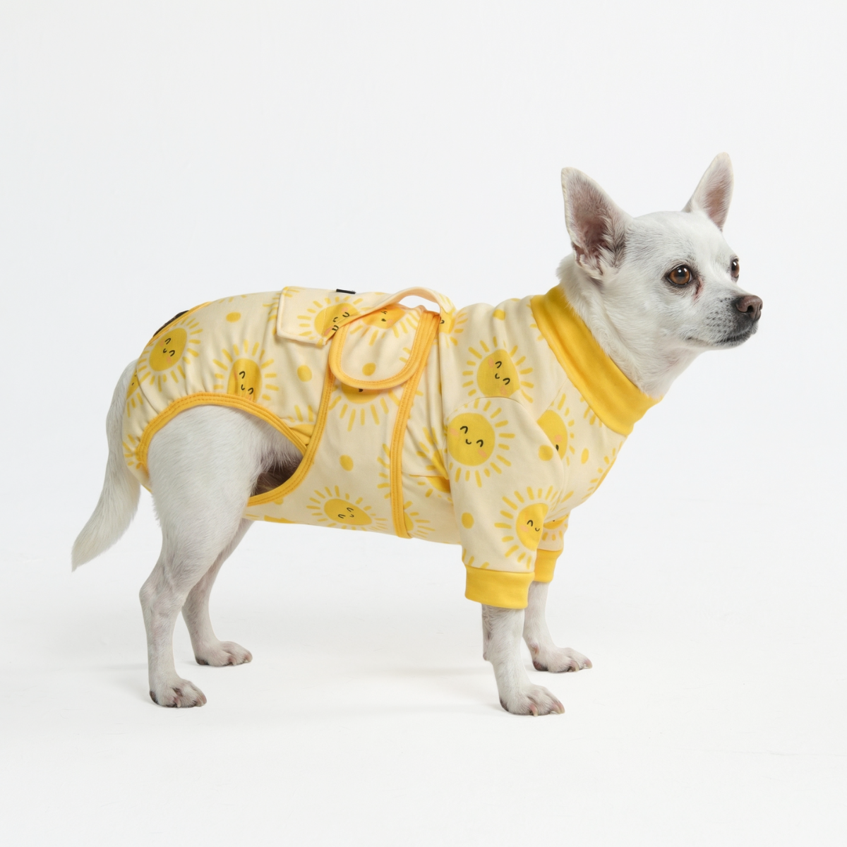 Dog Surgical Suit - Sunshine – SPARK PAWS