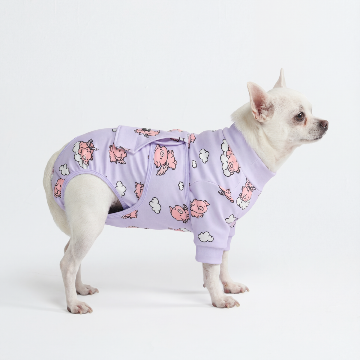 Dog Surgical Suit - When Pigs Fly – SPARK PAWS