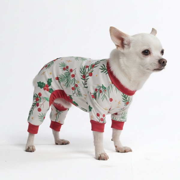 Mistletoe Pyjamas Dog Pajamas Onesies – SPARK PAWS