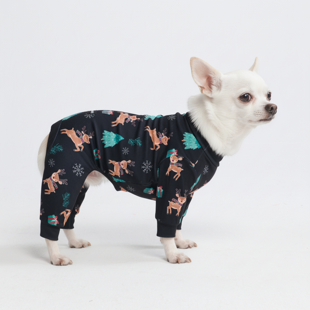 Matching Human and Dog Apparel – SPARK PAWS