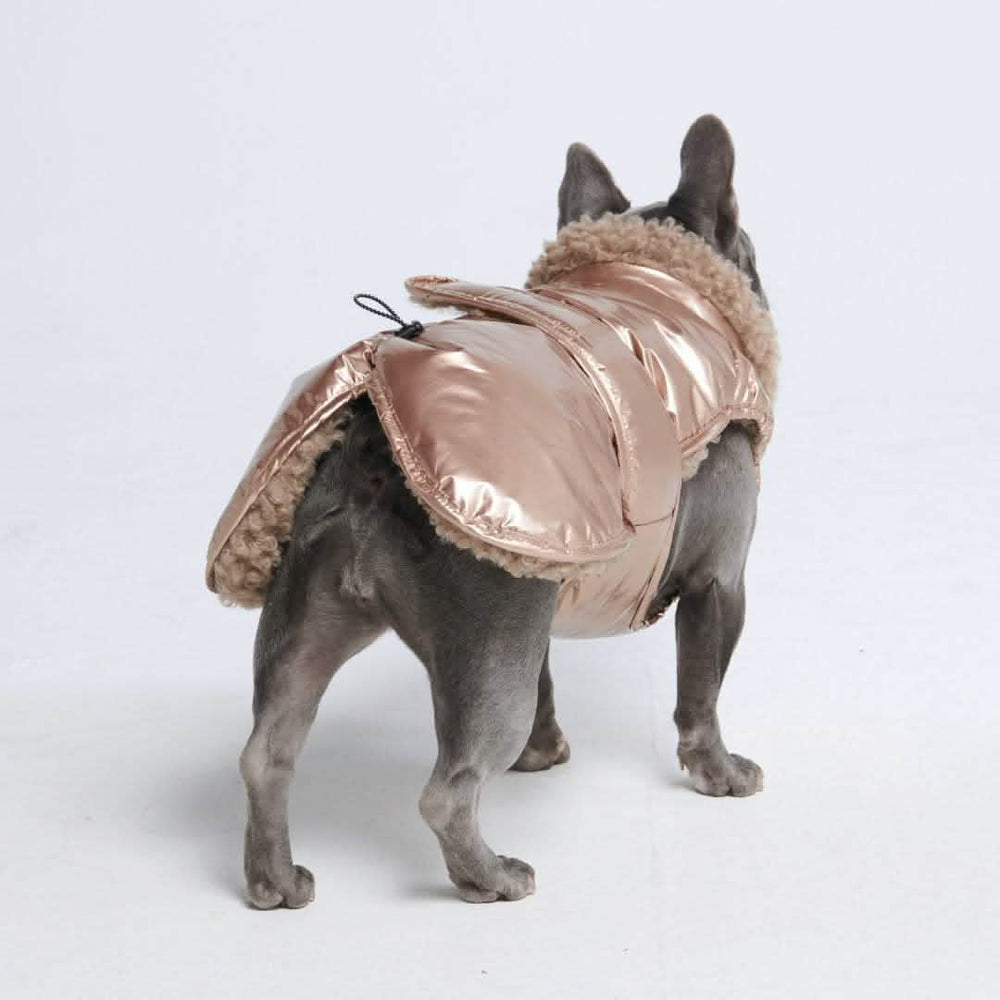 Slip-on Dog Winter Jacket - Gold – SPARK PAWS