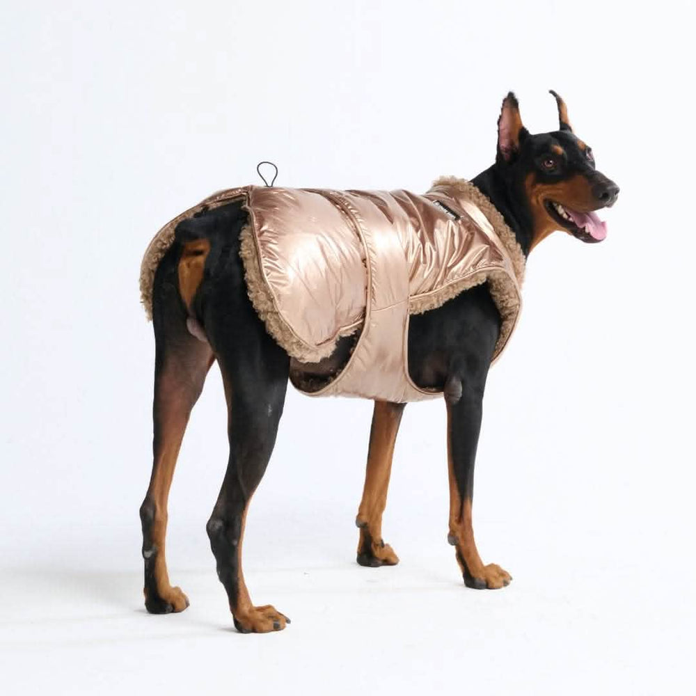 Slip-on Dog Winter Jacket - Gold – SPARK PAWS