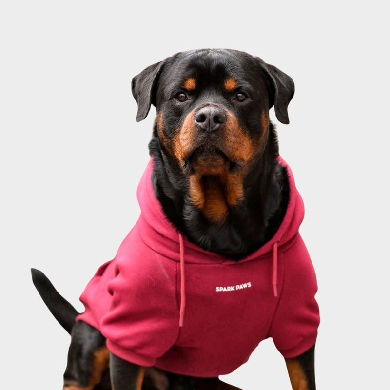 Spark Paws Hoodies With Dog Pictures Spark Paws Dog Hoodie