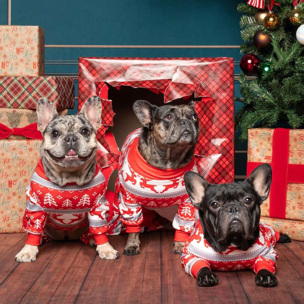 french bulldog christmas pajamas
