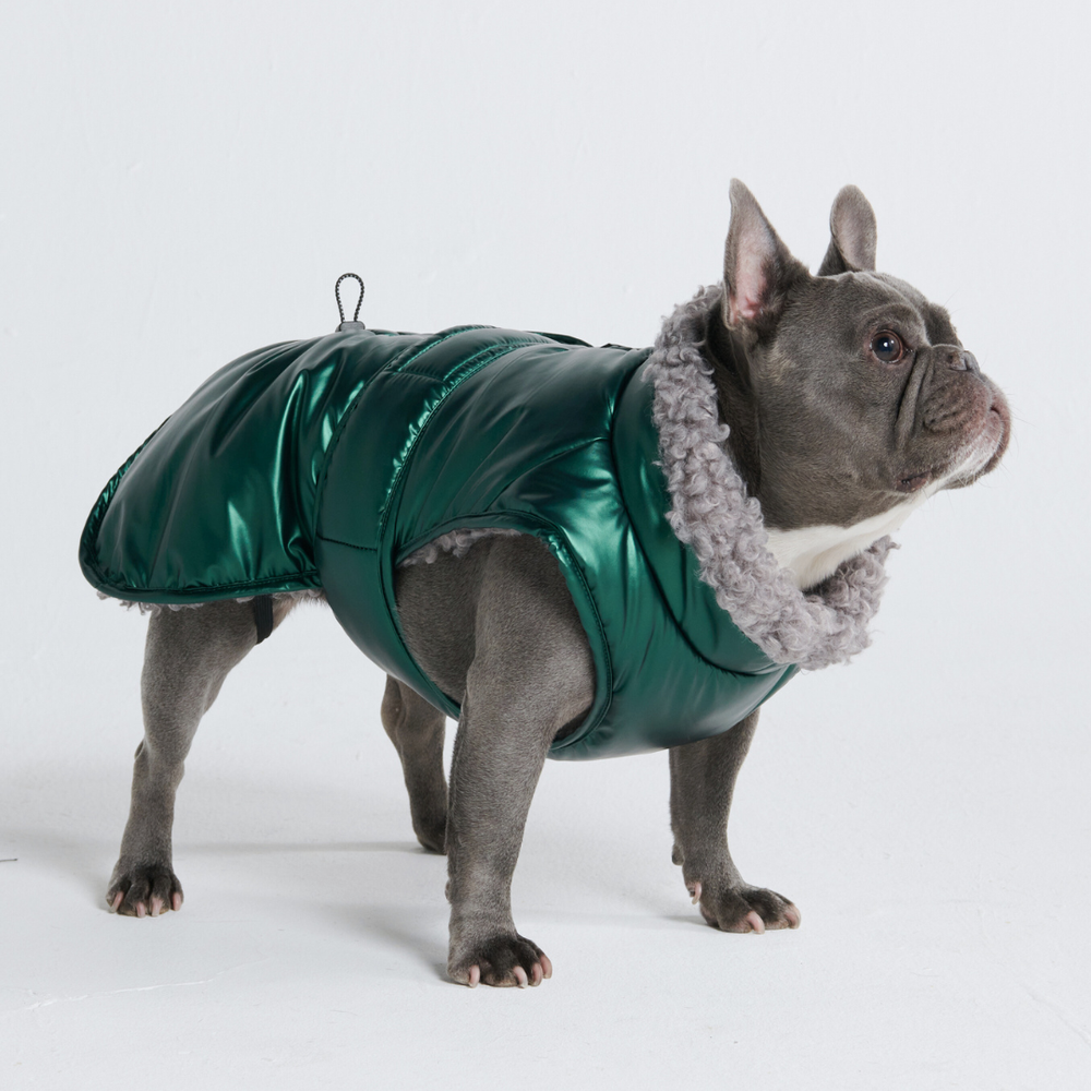 Slip-on Winter Dog Jacket - Green – SPARK PAWS