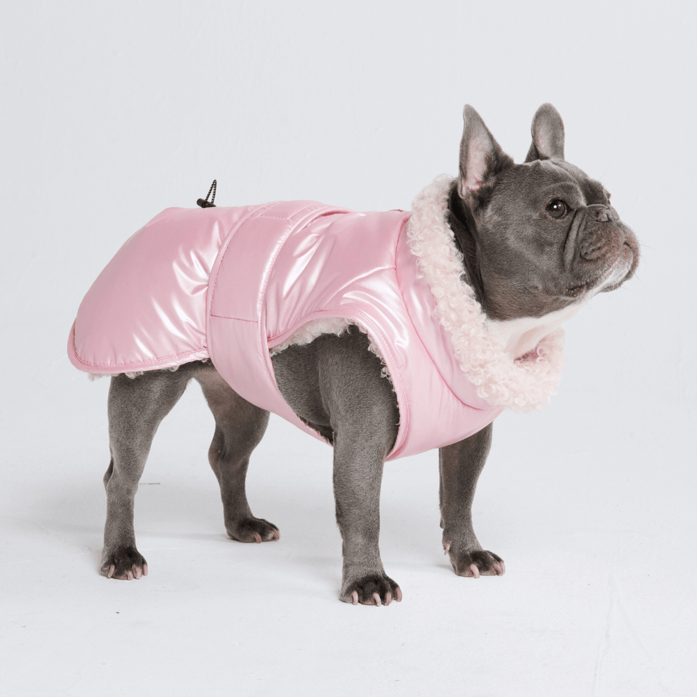 SP Dog Mesh Jacket(DS-23SU00303ADM) | ドッグの通販