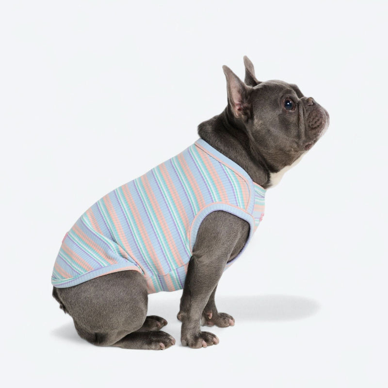 Blue Coral Stripe Shirt