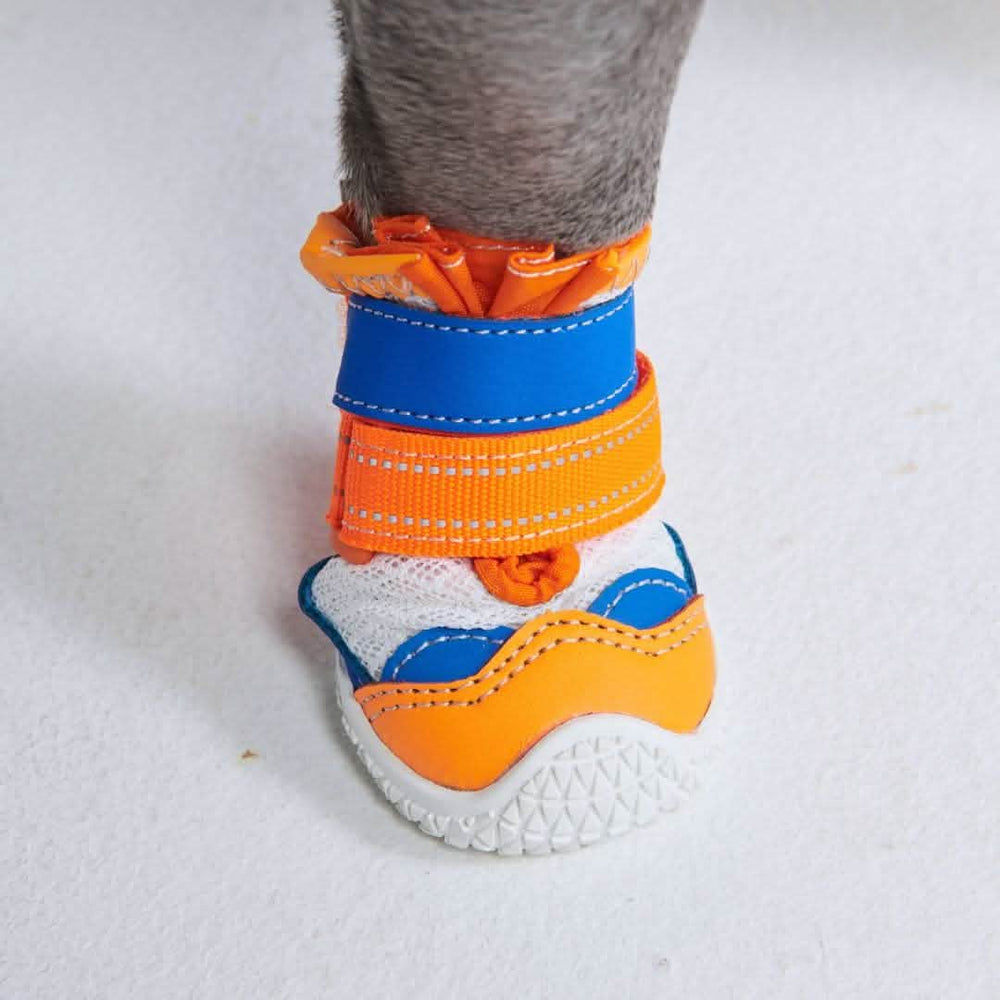Hot Pavement Pawtector Dog Shoes Orange Blue – SPARK PAWS