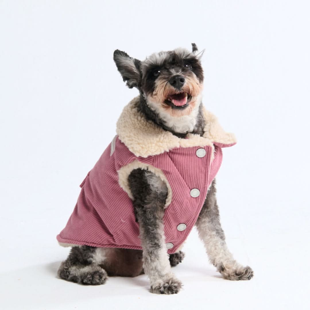 Corduroy Sherpa Fleece Dog Jacket Coat – SPARK PAWS