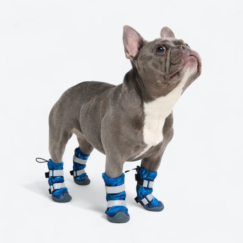 Shell Dog Flex Shell Waterproof Dog Boots – SPARK PAWS