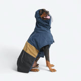 Dog Raincoat - Blue Gold Black