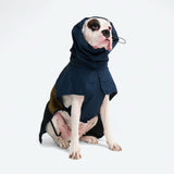 Dog Raincoat - Blue Gold Black