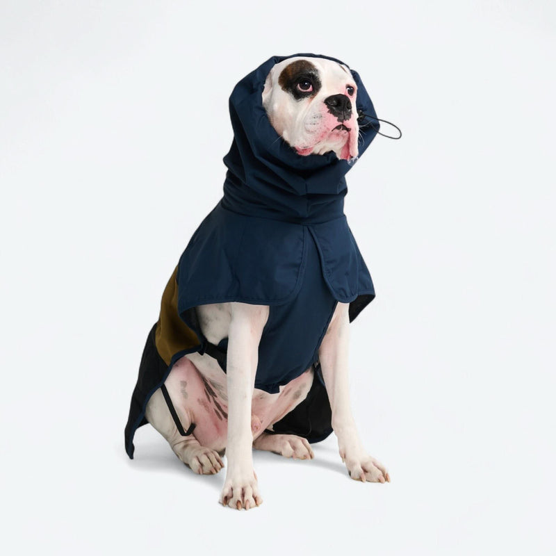 Dog Raincoat - Blue Gold Black