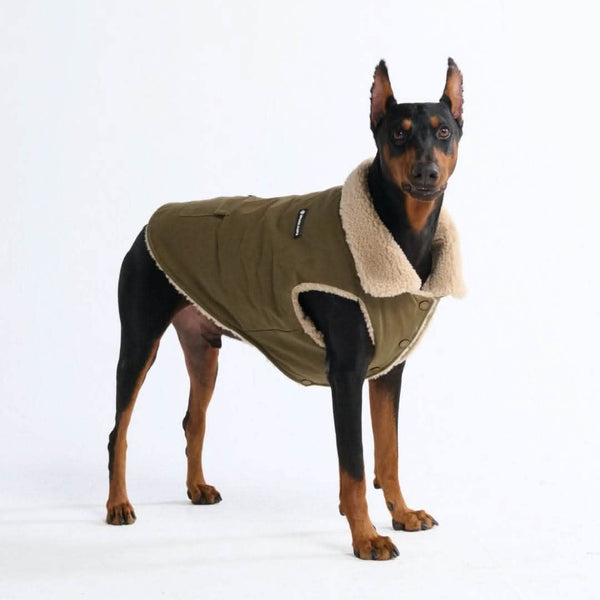All-Terrain Duck Insulated Dog Jacket Coat – SPARK PAWS