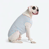Blue Coral Stripe Shirt