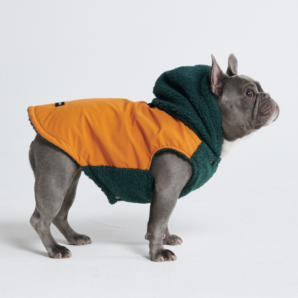 Reversible Dog Jacket - Green and Orange – SPARK PAWS