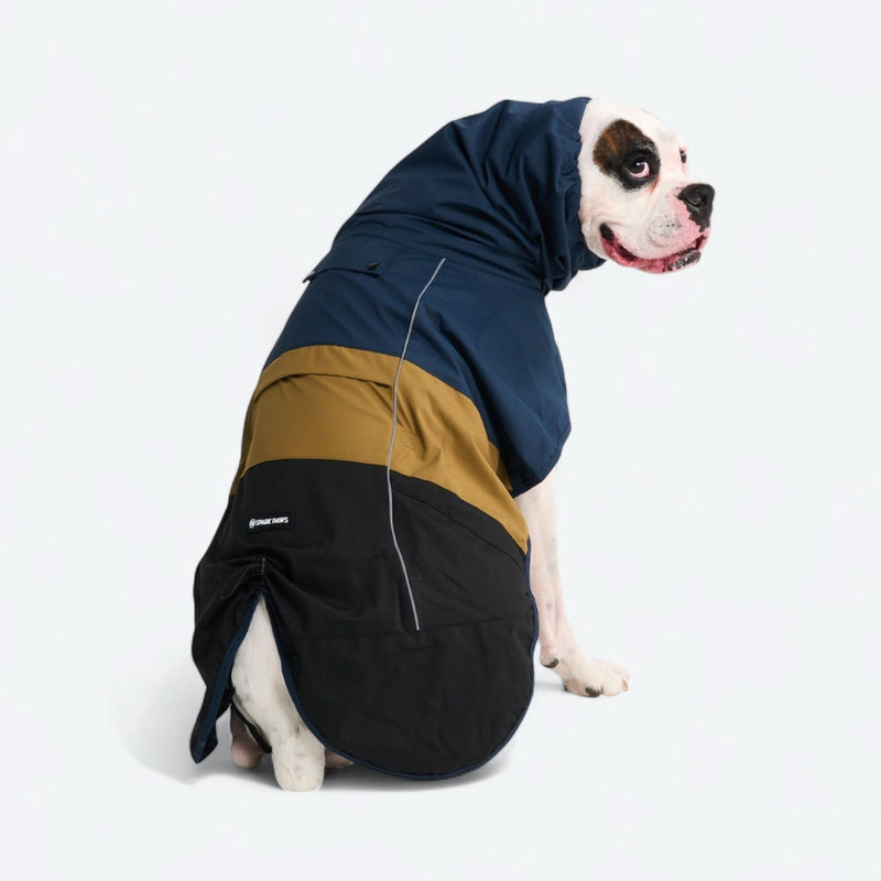 Dog Raincoat - Blue Gold Black
