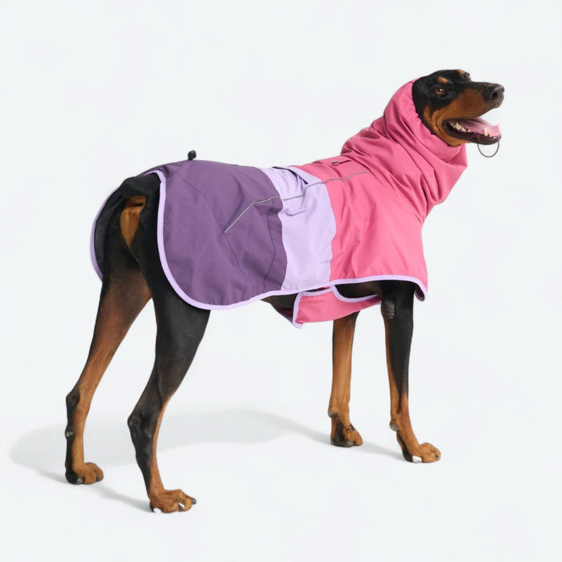 Dog Raincoat - Pink Lilac Purple