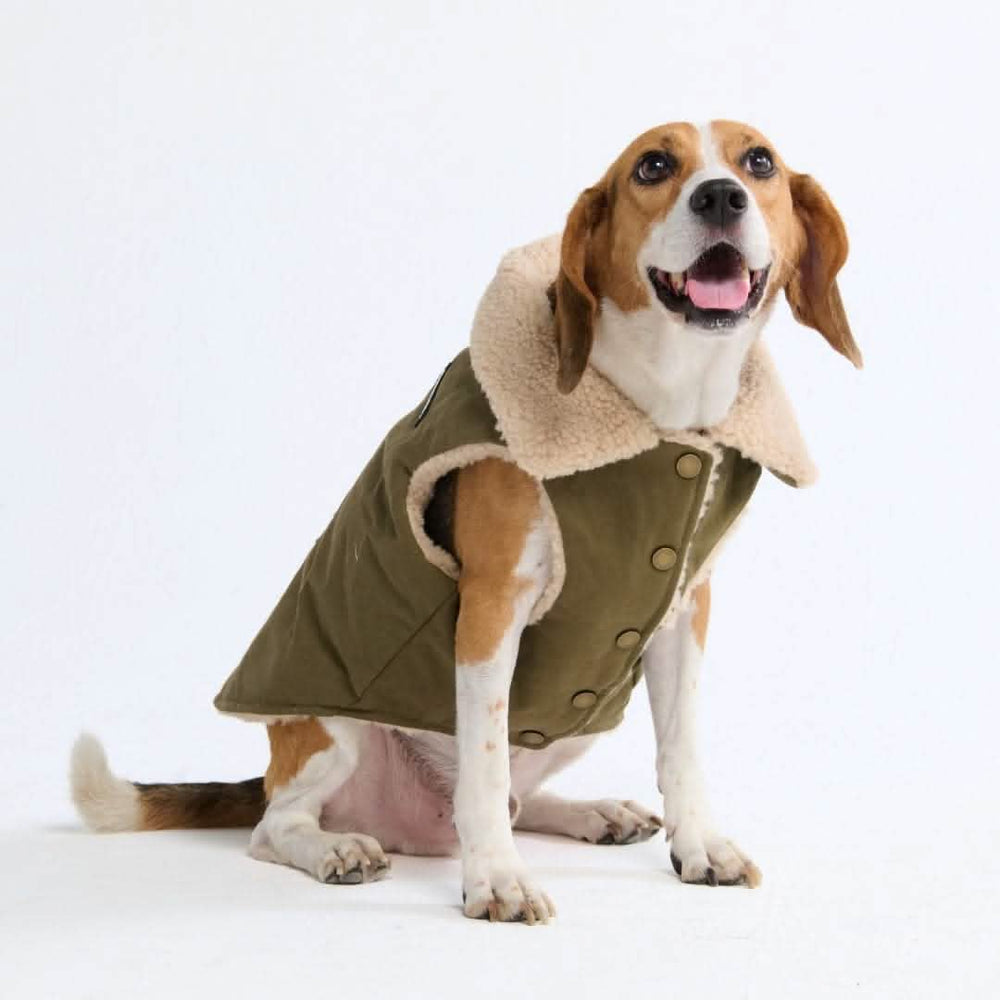 ジャケット・アウター dog All-Terrain Duck Insulated Dog Jacket Coat – SPARK PAWS