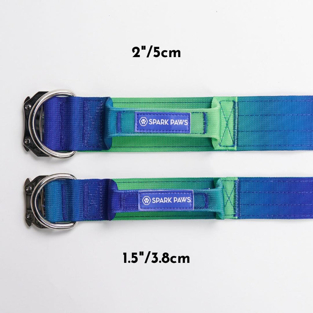 25 Sets 1'' 25mm #5 AQUA BLUE COLOR Dog Collar Hardware Curved Side Release  Buckle Set - AliExpress