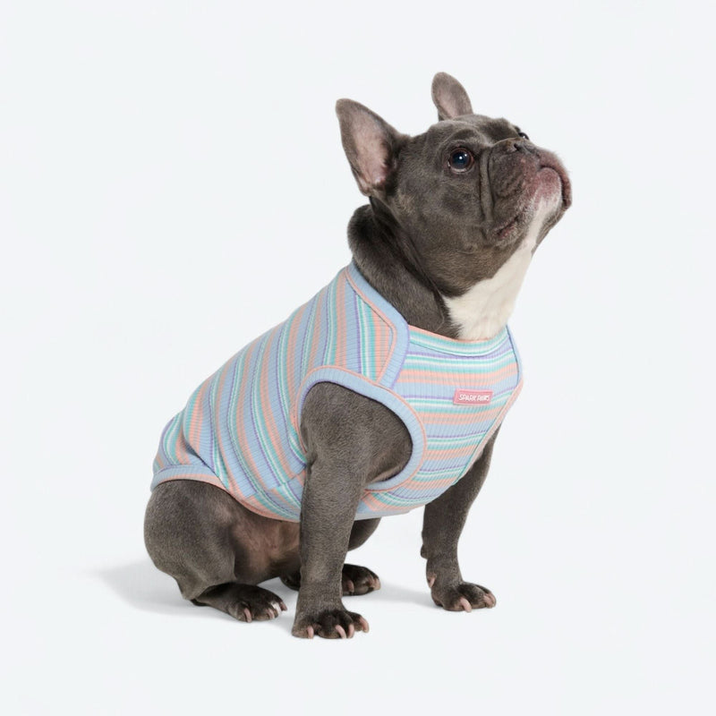 Blue Coral Stripe Shirt