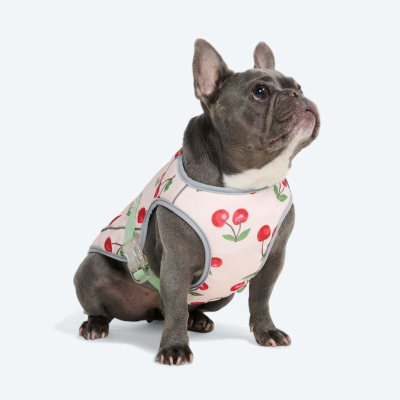 Cherries Cooling Vest