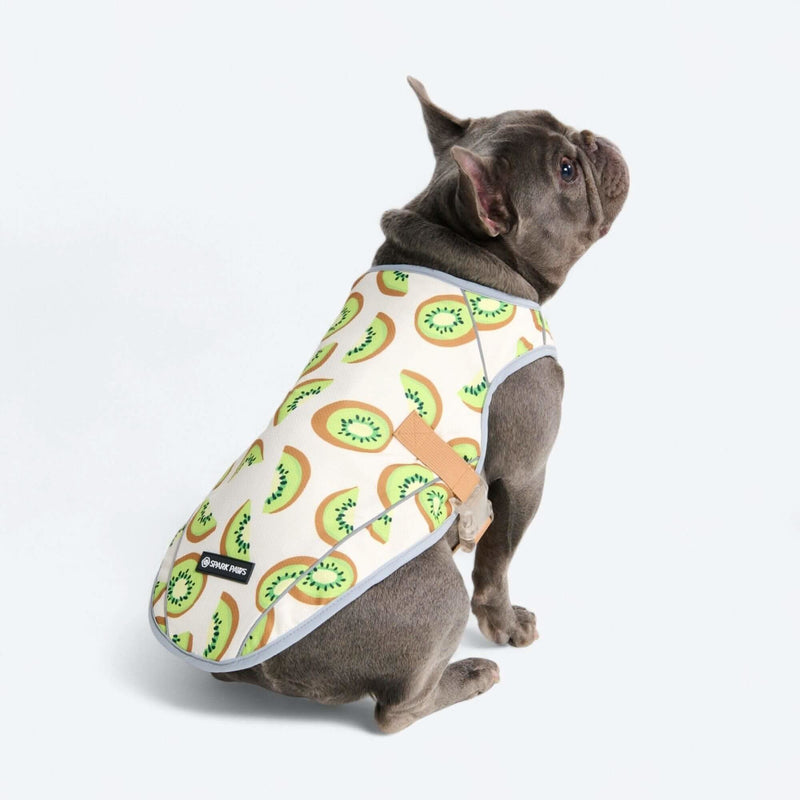 Kiwi Cooling Vest