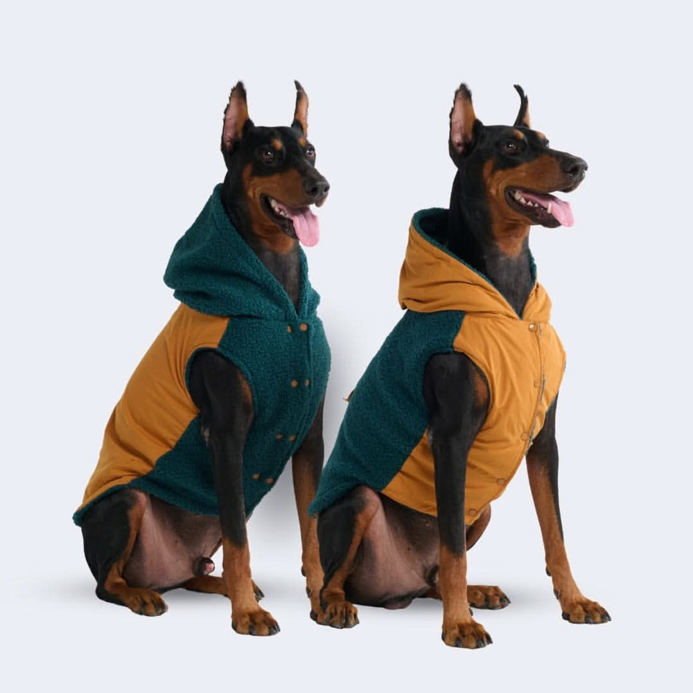 Reversible Dog Jacket - Green and Orange – SPARK PAWS