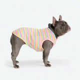 Pink Yellow Stripe Shirt