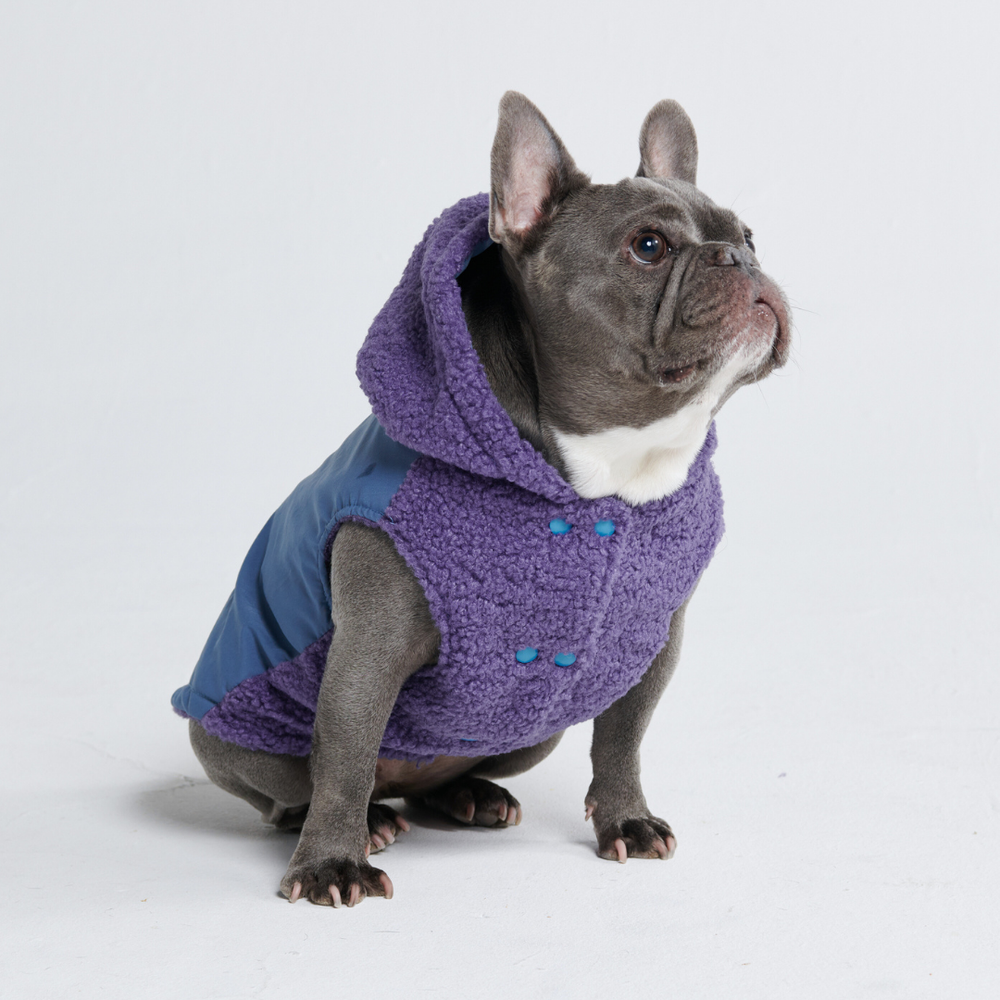 Reversible Dog Jacket - Purple and Blue – SPARK PAWS