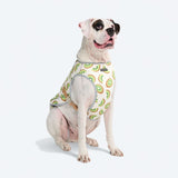Kiwi Cooling Vest