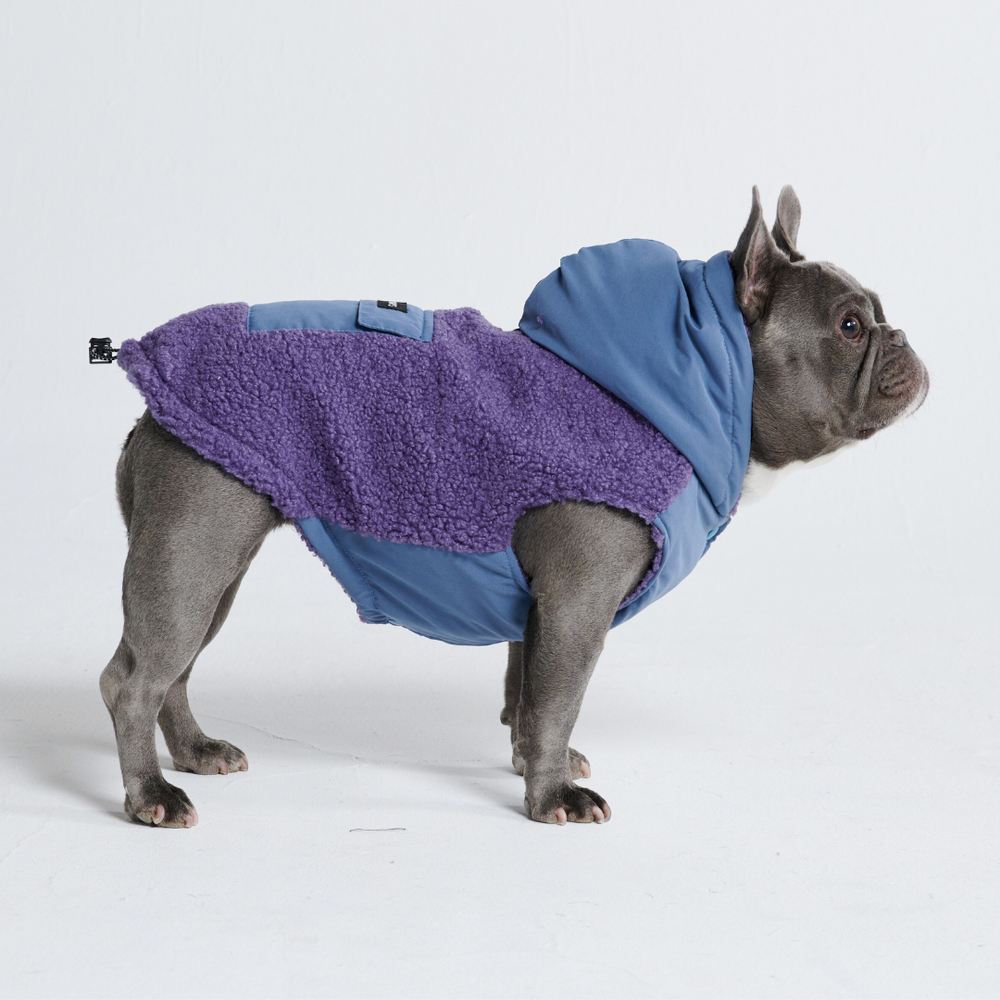 Reversible Dog Jacket - Purple and Blue – SPARK PAWS