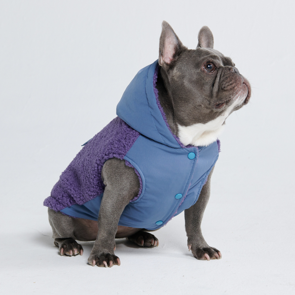 Reversible Dog Jacket - Purple and Blue – SPARK PAWS