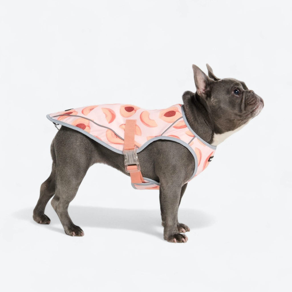 Dog Cooling Vest Peaches – SPARK PAWS