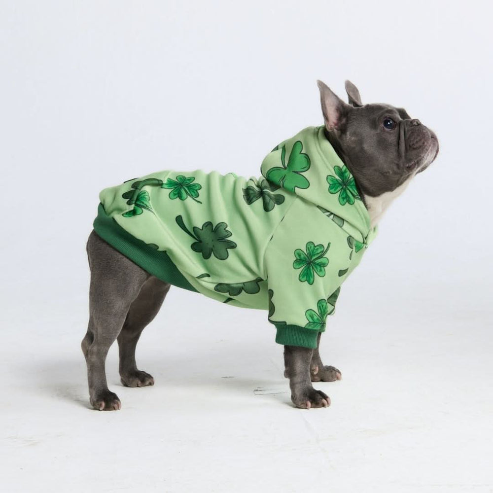 St. Paddy's Human Hoodie - Light Green (Limited Edition) – SPARK PAWS