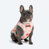 Peaches Cooling Vest