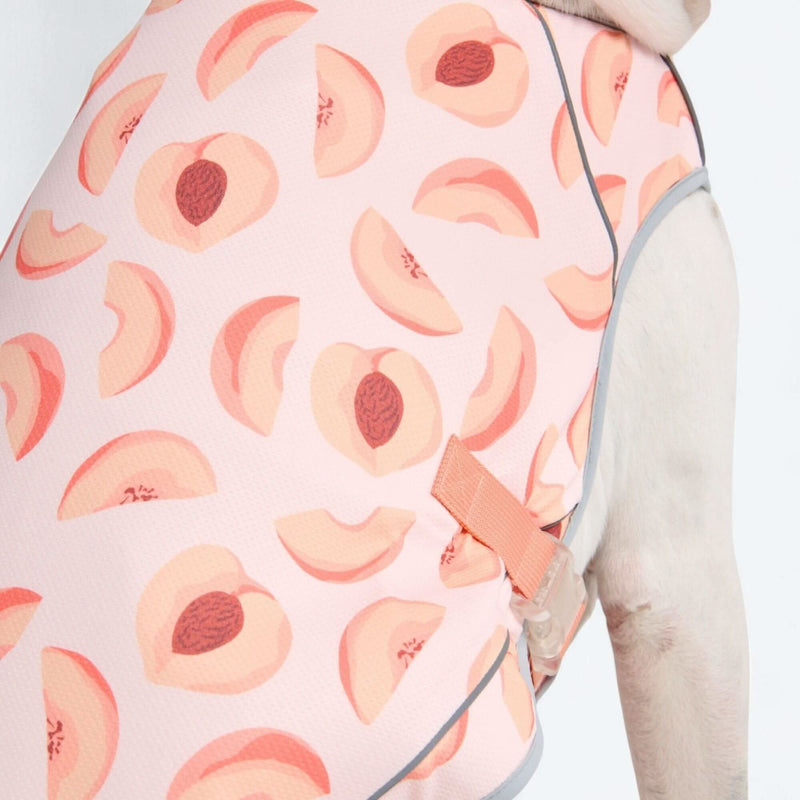 Peaches Cooling Vest