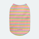 Pink Yellow Stripe Shirt